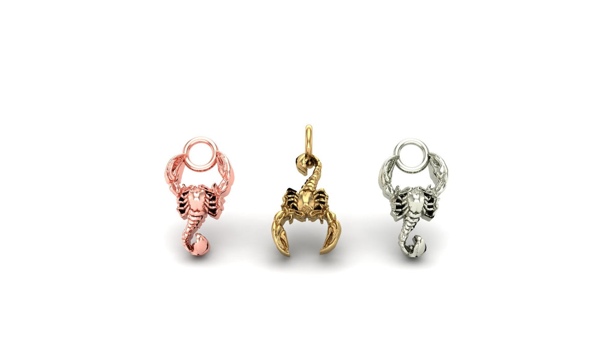 Scorpion Charm