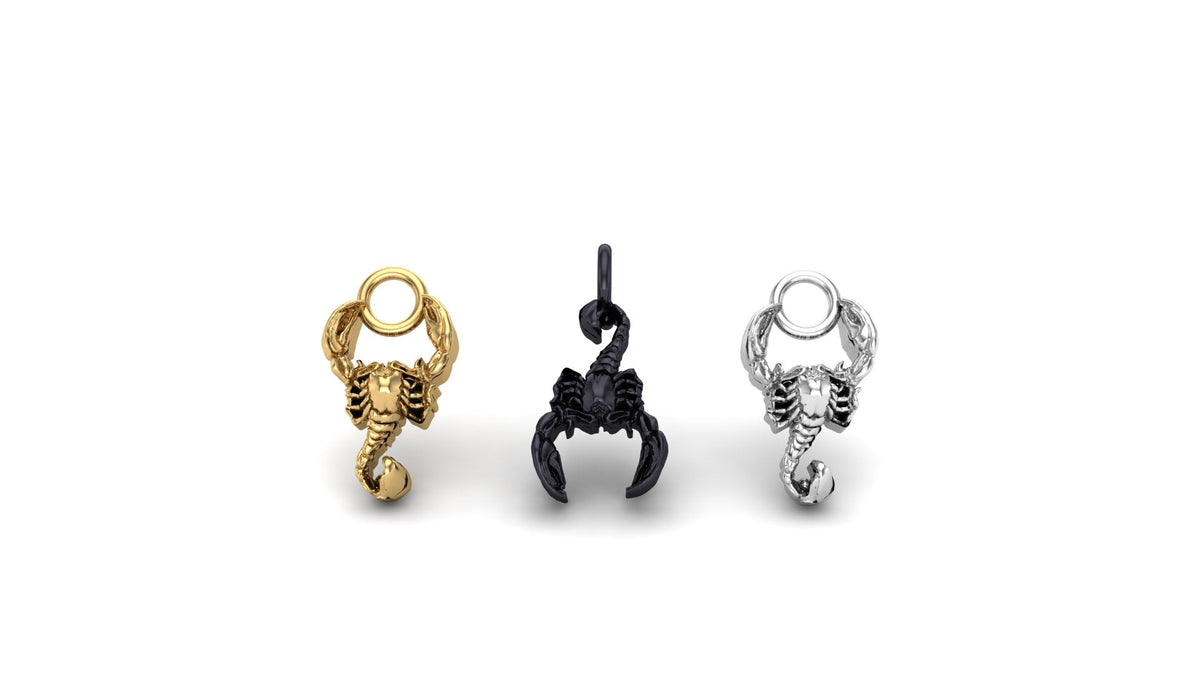 Scorpion Charm