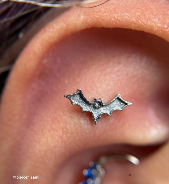 Bat