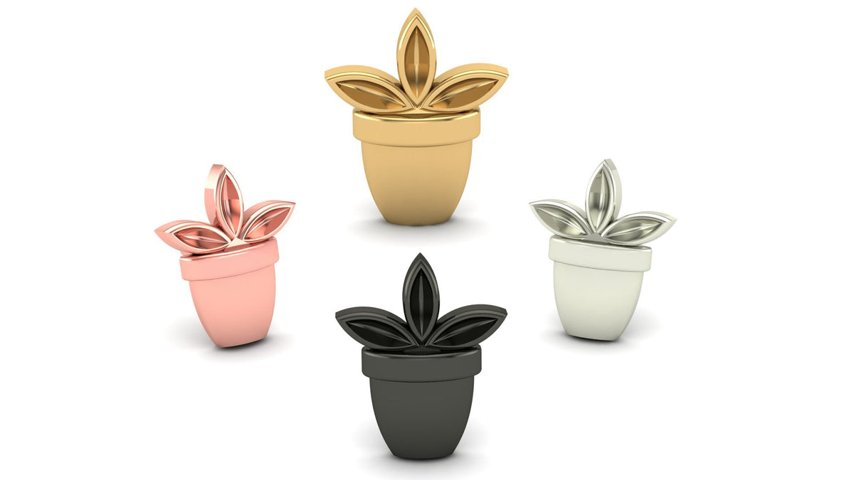 Lotus Cactus