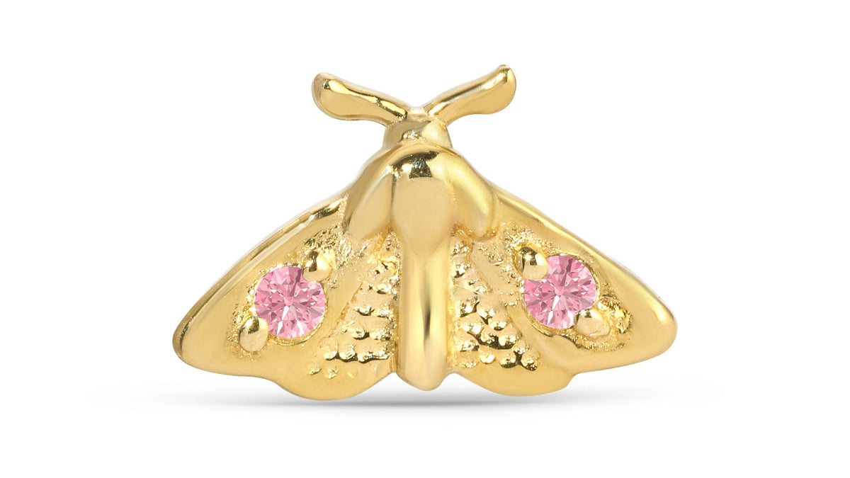 Moth