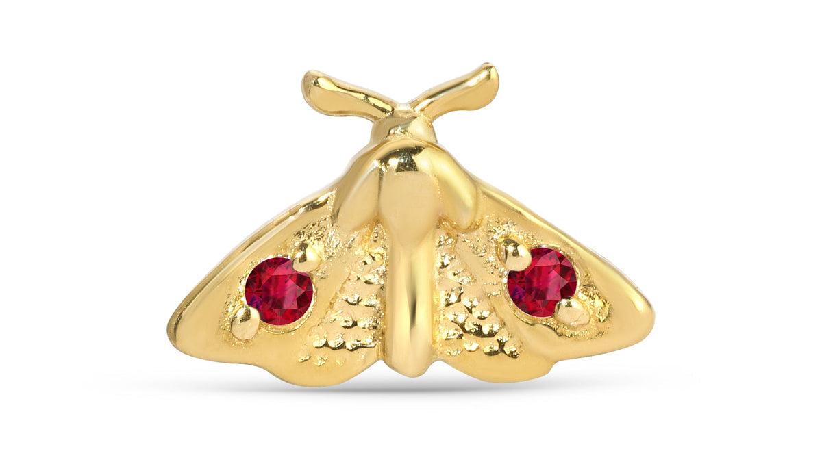 Moth
