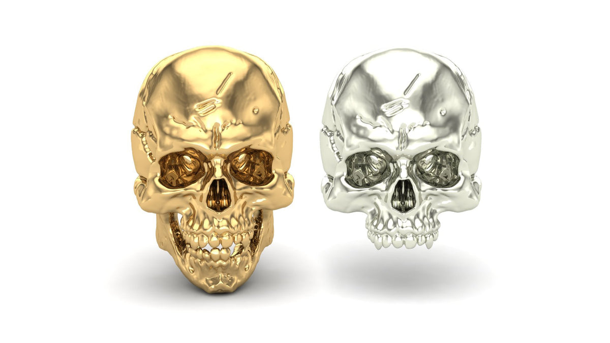 Jaw Motion Skull