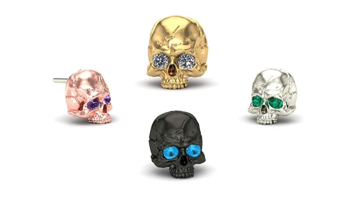 Jaw Motion Skull