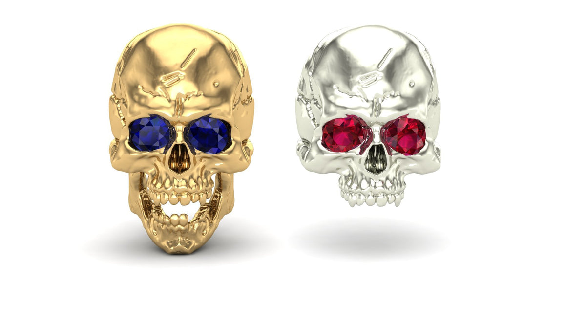 Jaw Motion Skull